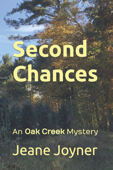 Kniha Second Chances Jeane Joyner