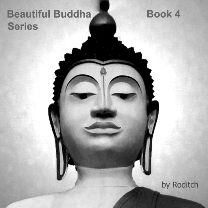 Knjiga Beautiful Buddha Series Roditch .