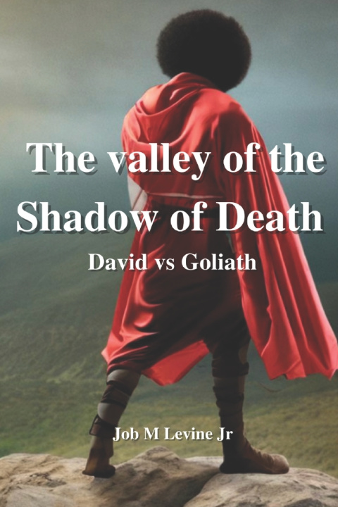 Kniha David & Goliath Job M Levine Jr