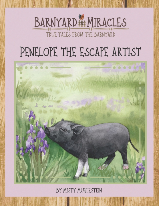 Kniha Barnyard Miracles Misty Muhlestein