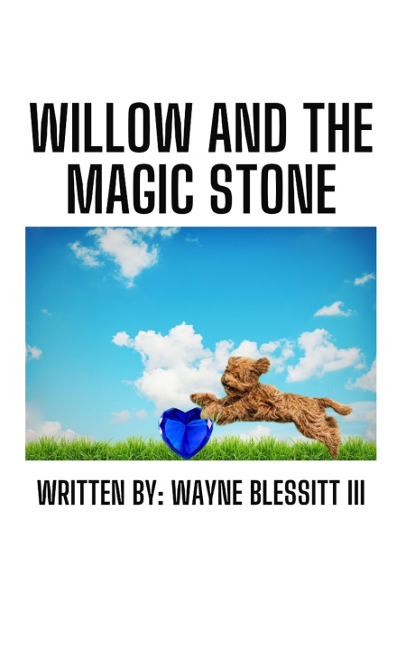 Knjiga Willow's Magic Stone Wayne Blessitt