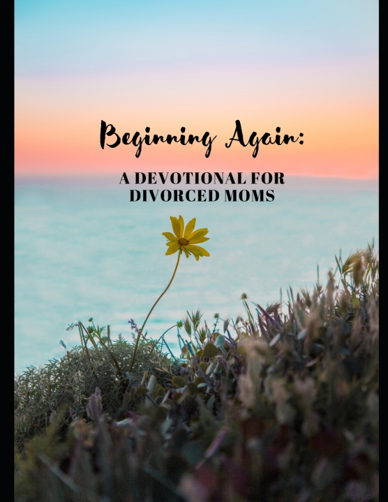 Kniha Beginning Again Alitha L Hawkins