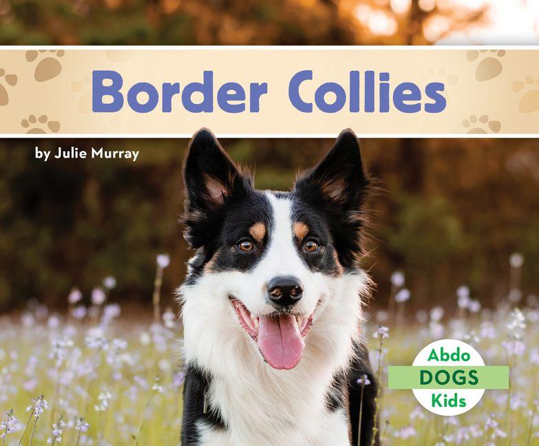 Kniha Border Collies 