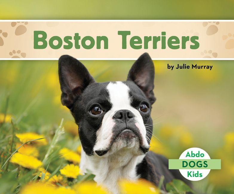 Knjiga Boston Terriers 