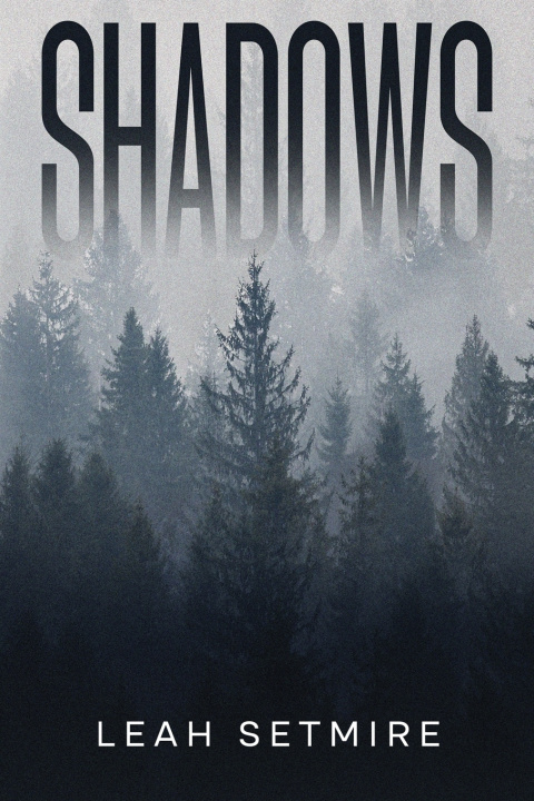 Kniha Shadows Setmire