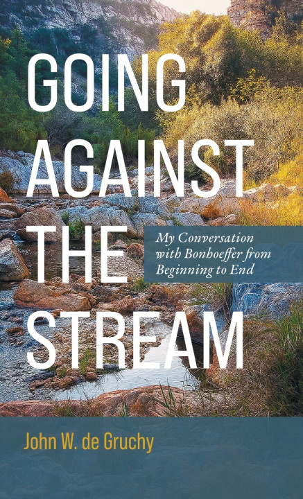 Buch Going Against the Stream John W. de Gruchy