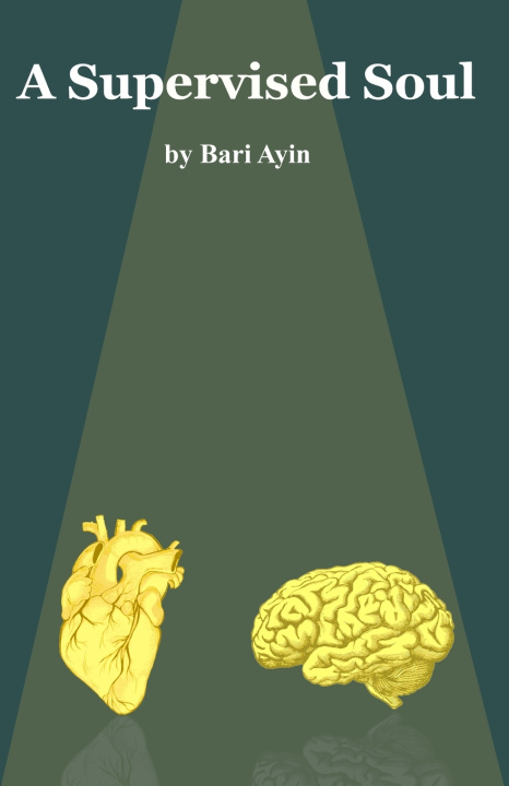 Kniha A Supervised Soul Bari Ayin