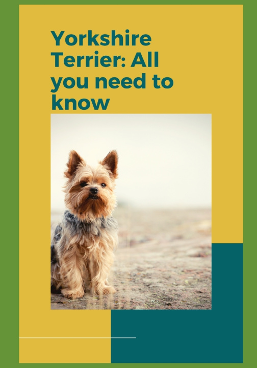 Kniha Yorkshire Terrier Paul Fink