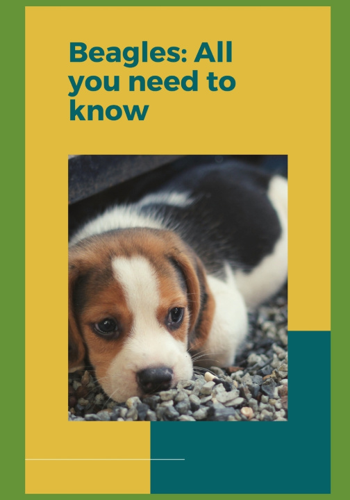 Kniha Beagles Paul Fink
