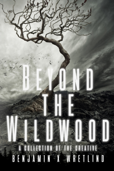 Kniha Beyond the Wildwood Benjamin X. Wretlind