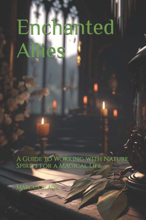 Kniha Enchanted Allies Marcus Black