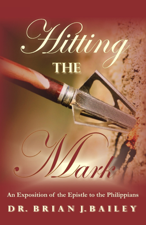 Kniha Hitting the Mark Brian J. Bailey