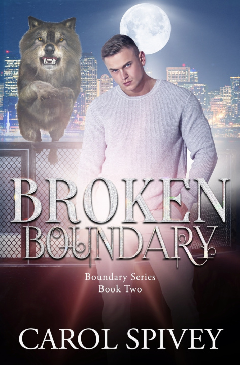 Kniha Broken Boundary Carol Spivey