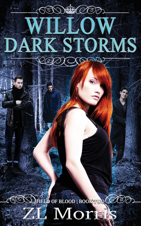 Kniha Willow Dark Storms ZL Morris