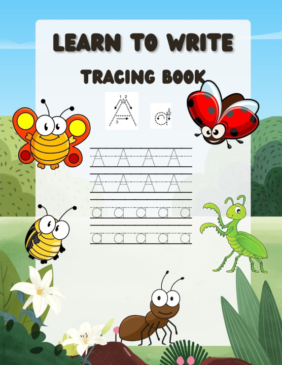 Kniha Learn to Write Annie Noor