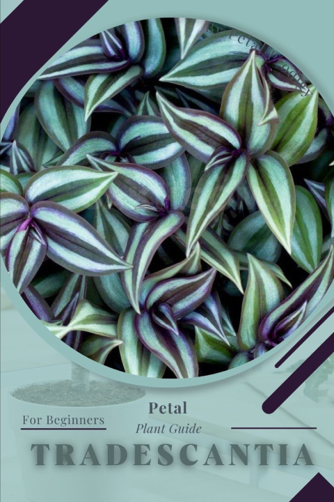 Libro Tradescantia Petal Prodigy