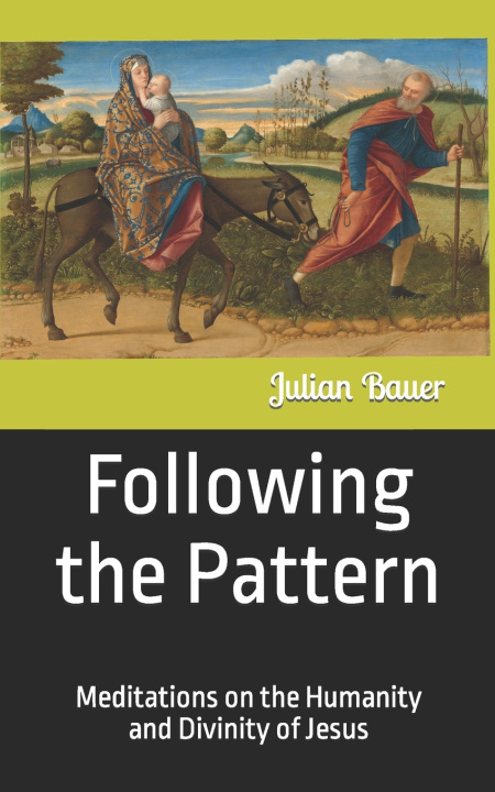 Kniha Following the Pattern Julian Bauer
