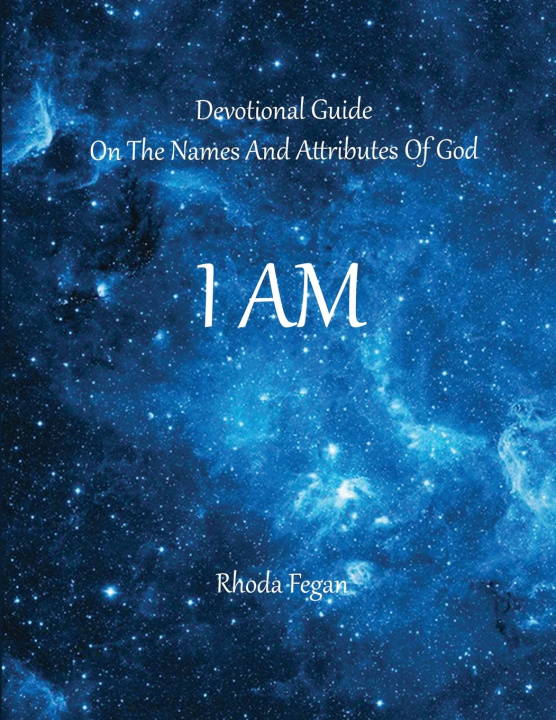Kniha I Am Rhoda Fegan