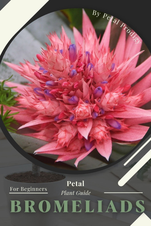 Kniha Bromeliads Petal Prodigy