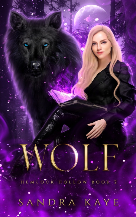 Kniha Wolf Sandra Kaye