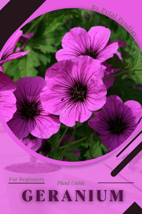 Knjiga Geranium Petal Prodigy