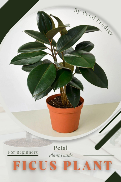 Knjiga Ficus Plant Petal Prodigy