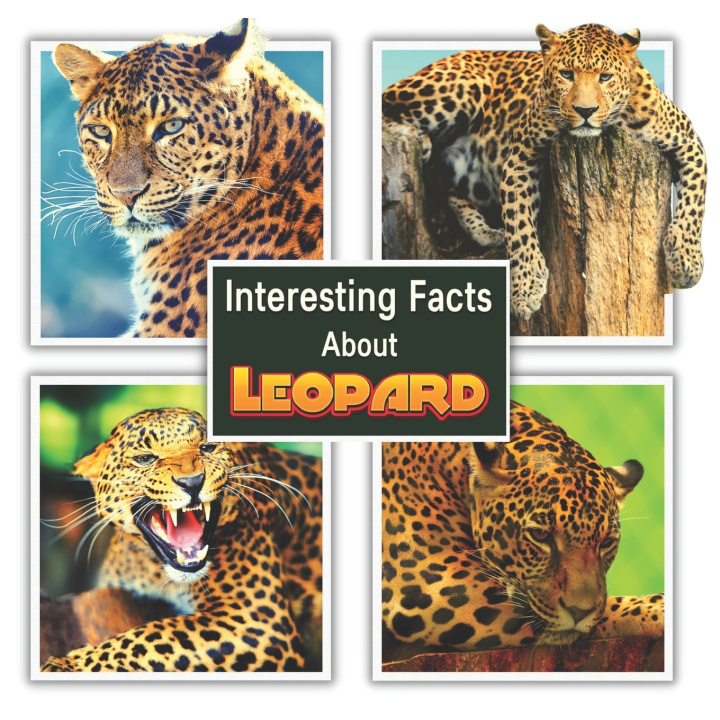 Book Interesting Facts About Leopard James K. Mahi