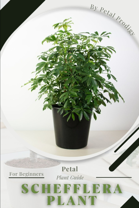 Kniha Schefflera Plant Petal Prodigy