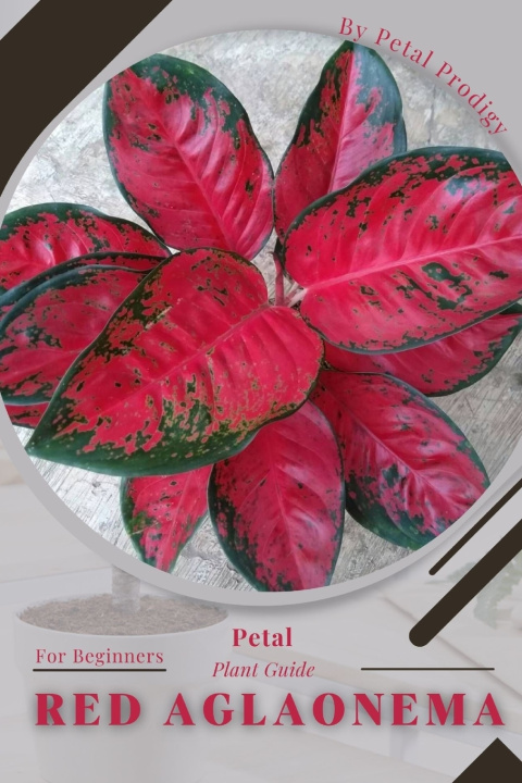 Buch Red Aglaonema Petal Prodigy