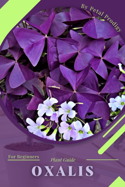 Kniha Oxalis Petal Prodigy