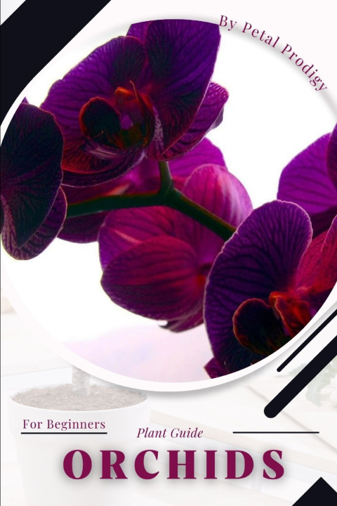 Kniha Orchids Petal Prodigy