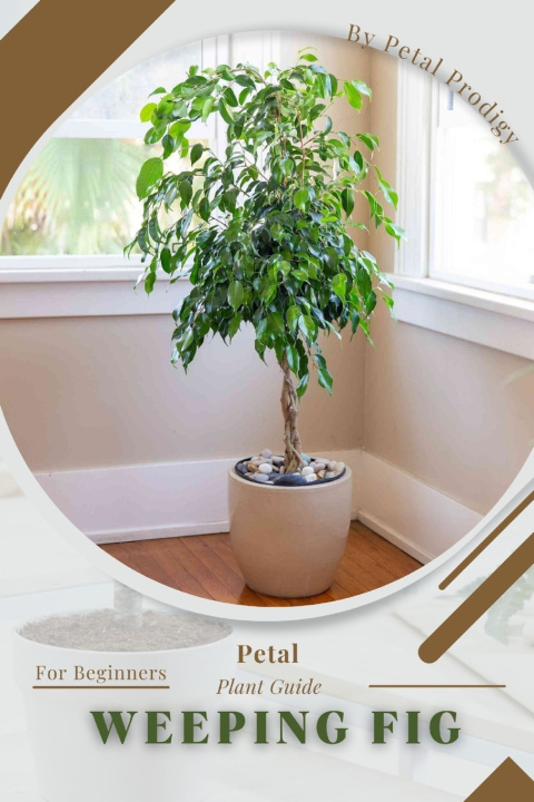 Kniha Weeping Fig Petal Prodigy