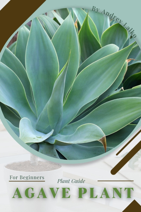 Knjiga Agave Plant Andrey Lalko