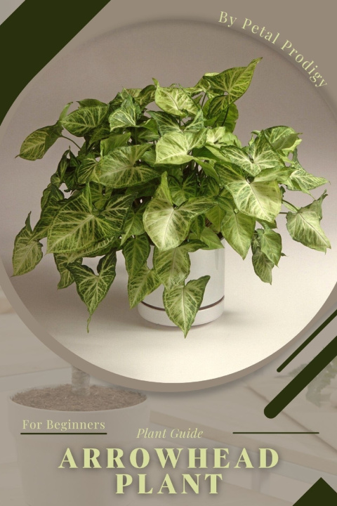 Knjiga Arrowhead Plant Andrey Lalko