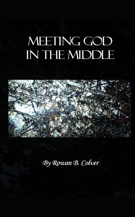 Kniha Meeting God In The Middle Rowan B. Colver