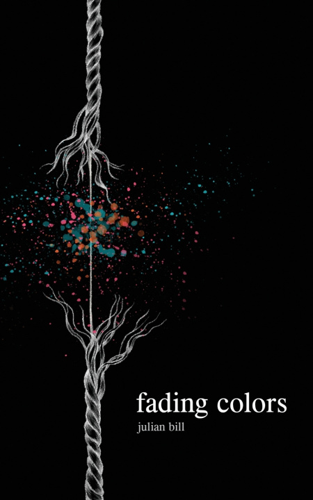 Kniha fading colors julian bill