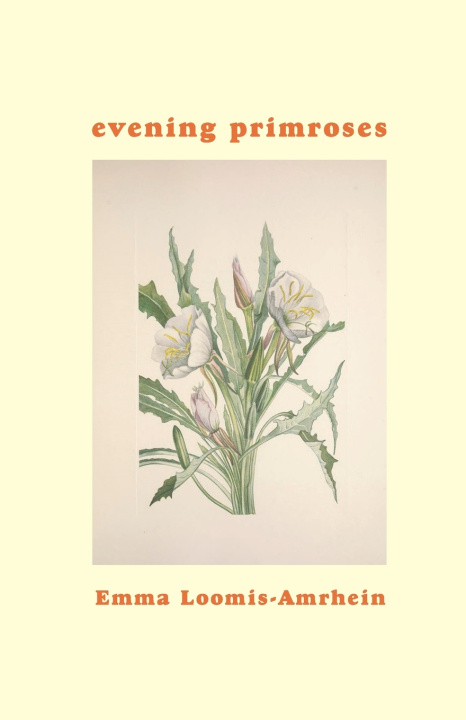 Kniha evening primroses Emma Loomis-Amrhein
