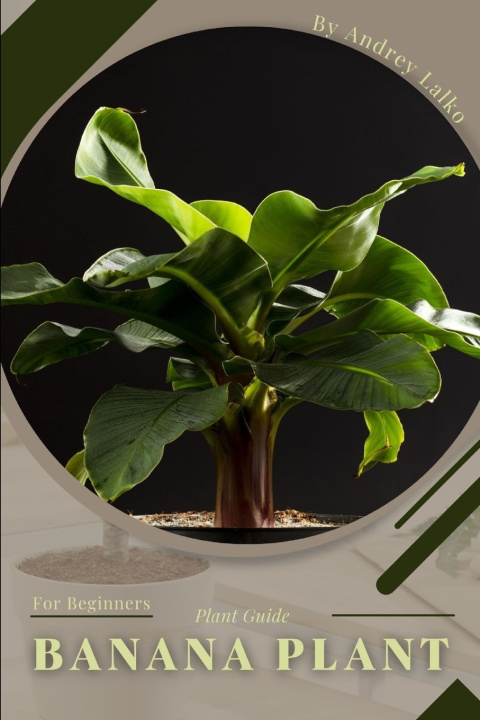 Kniha Banana Plant Andrey Lalko