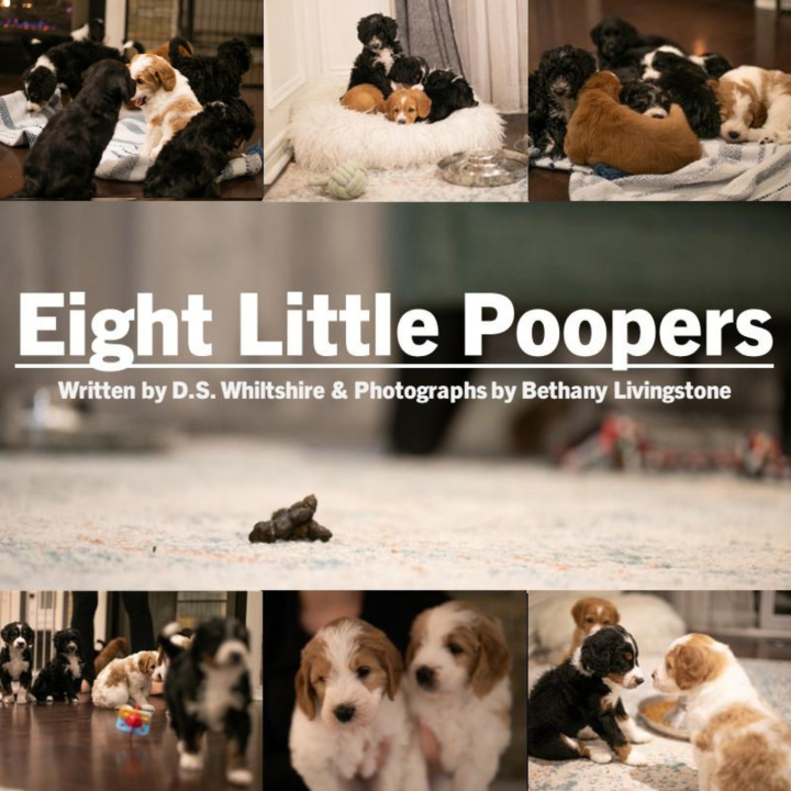 Kniha Eight Little Poopers D.S. Whiltshire