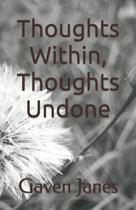 Kniha Thoughts Within, Thoughts Undone Gaven Janes
