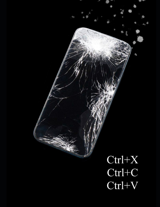 Knjiga Ctrl+x, Ctrl+C, Ctrl+V Alexandra Müller