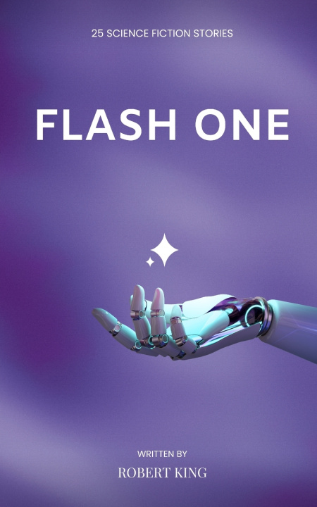 Kniha Flash One Robert King