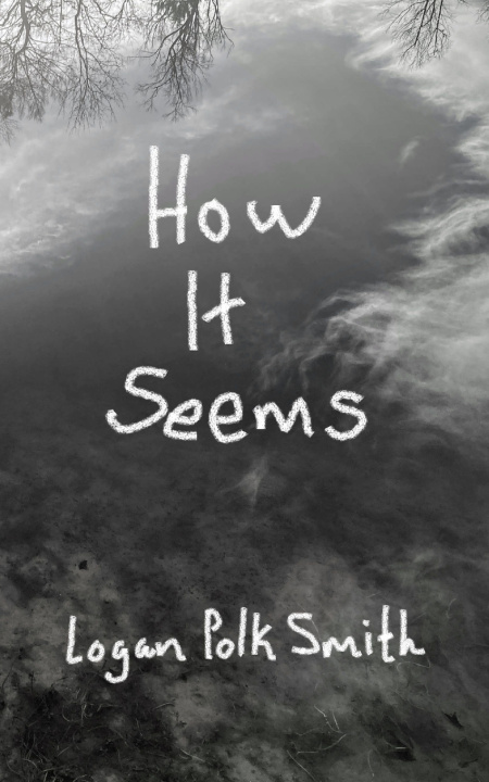 Kniha How It Seems Logan Polk Smith