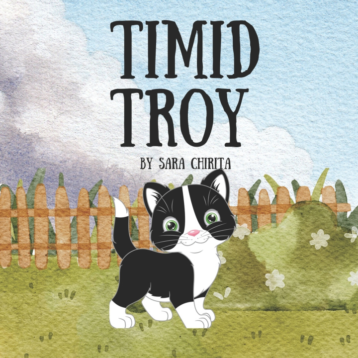 Kniha Timid Troy Sara Chirita