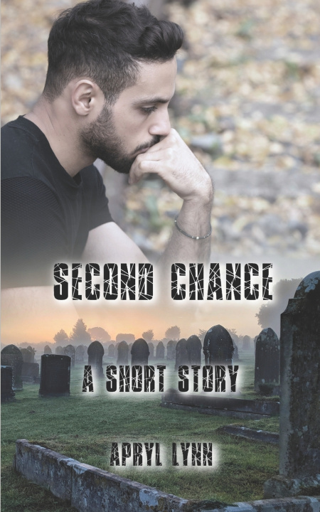 Kniha Second Chance Apryl Lynn