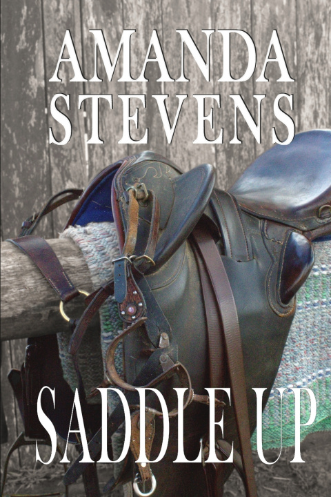 Kniha Saddle Up Amanda Stevens