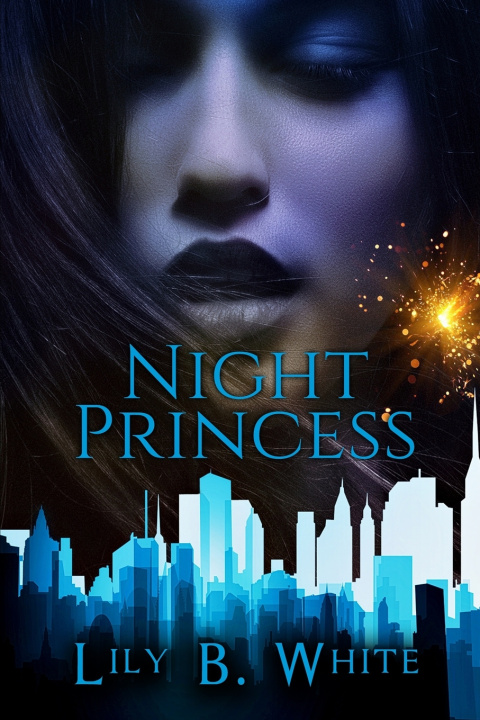 Kniha Night Princess Lily B. White