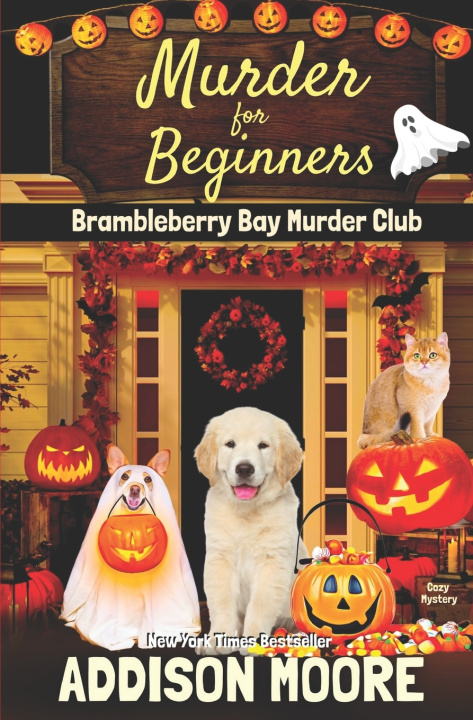 Kniha Murder for Beginners Addison Moore