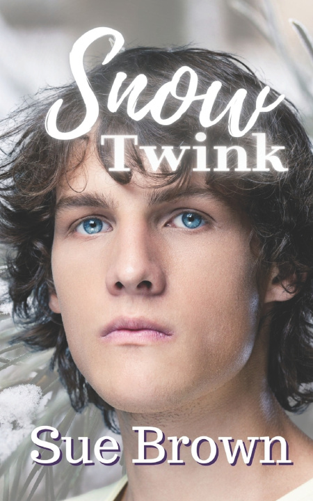 Knjiga Snow Twink Sue Brown