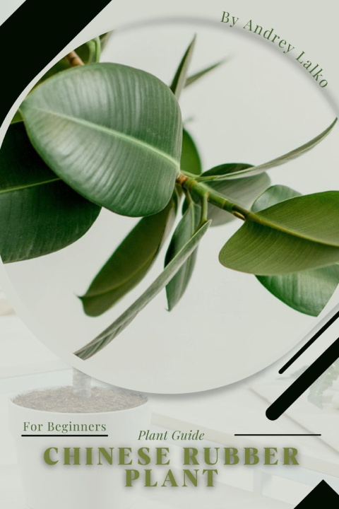 Kniha Chinese Rubber Plant Andrey Lalko